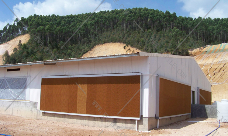 還在為廠房的墻體煩惱嗎？使用星發(fā)優(yōu)質墻體廠房塑料瓦